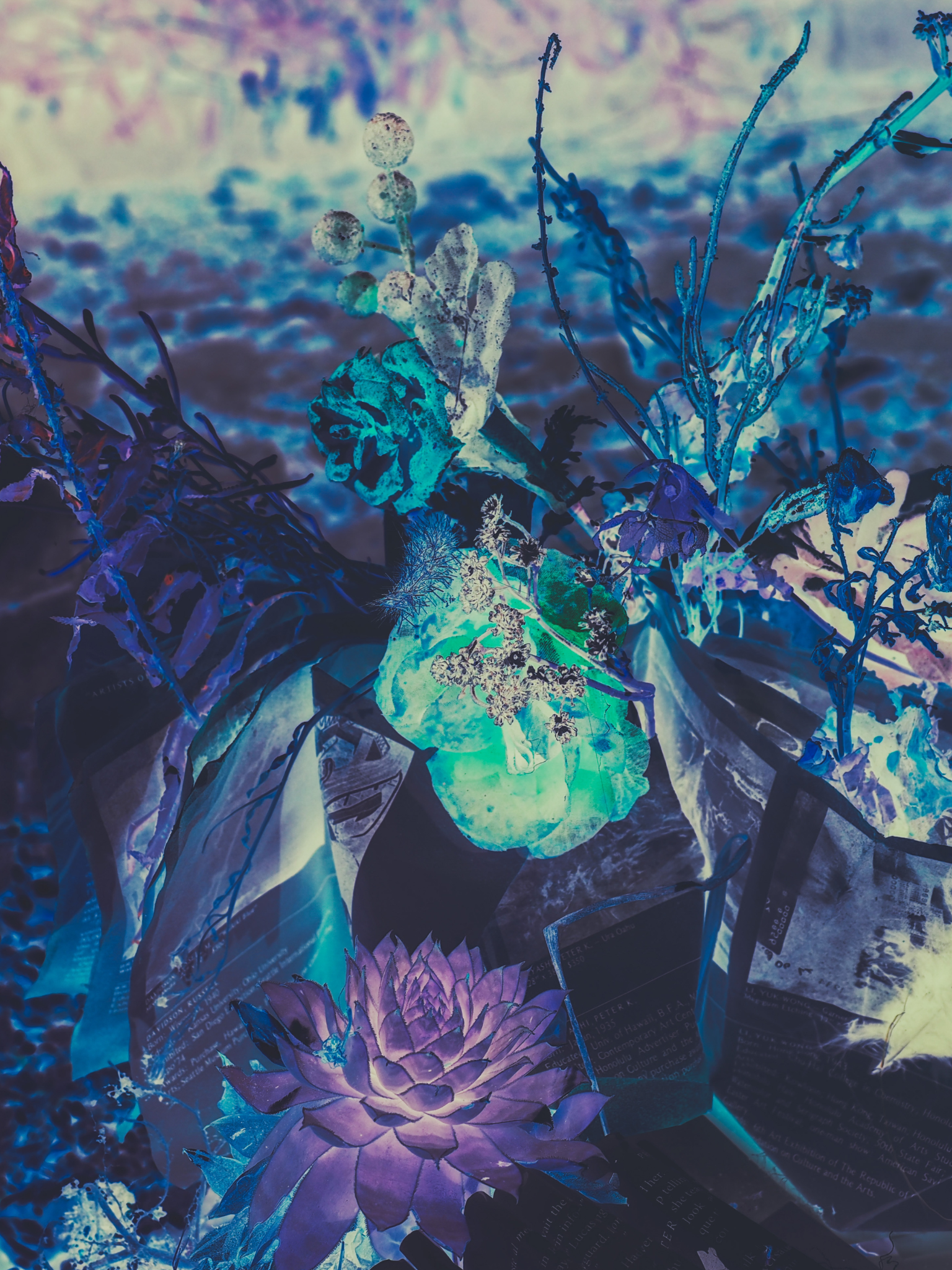 Photo print