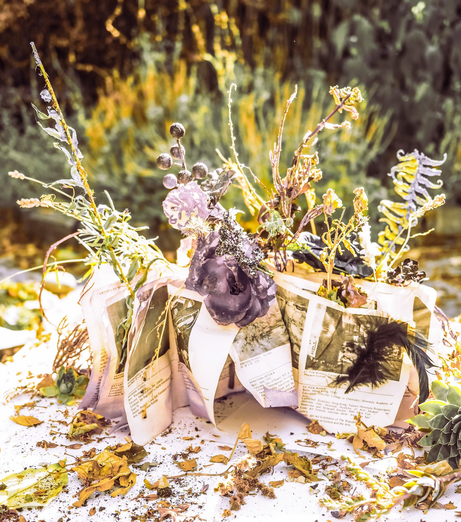 Folded book cradling dried flowers and leaves in warm golden sunlight